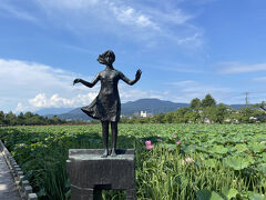 少女像ほ背景は蓮の花と青空。絵になる風景でした。