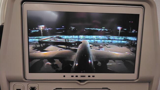 A380と言えば機外カメラ<br />離発着の時はずっと眺めてた