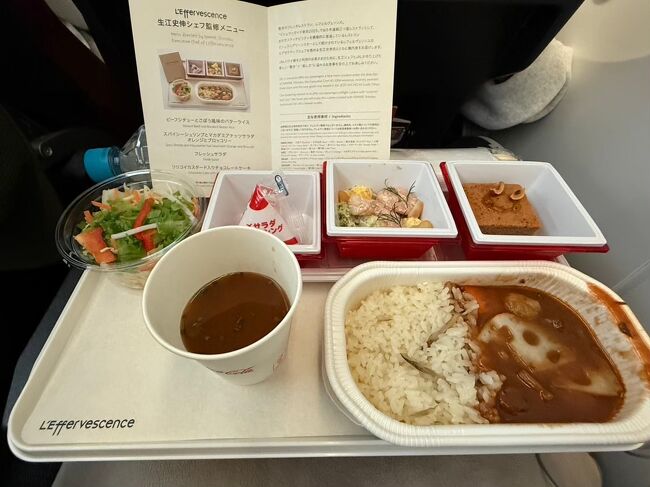 21時55分　羽田空港から出発です。<br />ラウンジでたくさん食べましたが、今回機内食をチェックした時に「ビーフシチューとごぼう風味のバターライス」を食べたいと思いスキップしませんでした。<br />結果的にすごく美味しかったのでスキップせず食べて正解でした。<br />いつも通りある程度 映画を見て、軽く寝ました。ハワイに近づいたので、配ってもらったパンと野菜ジュースを飲んで顔を準備してたらあっという間に到着です。