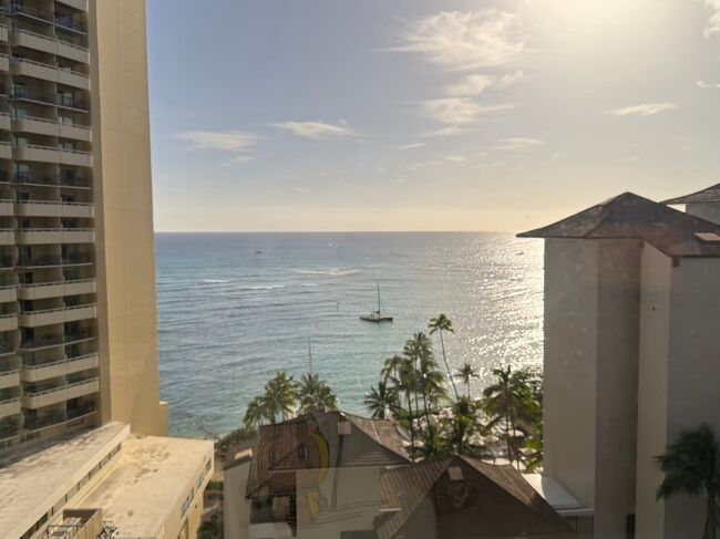 ホテルの外観を撮り忘れてしまいましたが、、、<br />泊まるのは過去2回経験のある「ハレプナ　ワイキキ　バイ　ハレクラニ」です。<br />バスでホテルまで送ってもらい、荷物を預けました。<br />疲れていたので、初日は遠くに行かず周辺をぶらぶら。楽天ラウンジに行ったり。<br />チェックインできるようなのでホテルに戻りました。<br />なんとスリッパが部屋に置いてるよくあるものではなく、フロントでグレーのしっかりしたスリッパをいただきました！外でも歩けるぐらいの厚手のスリッパです。<br />荷物が部屋に届いたので、ある程度出して夕食のため外出しました。