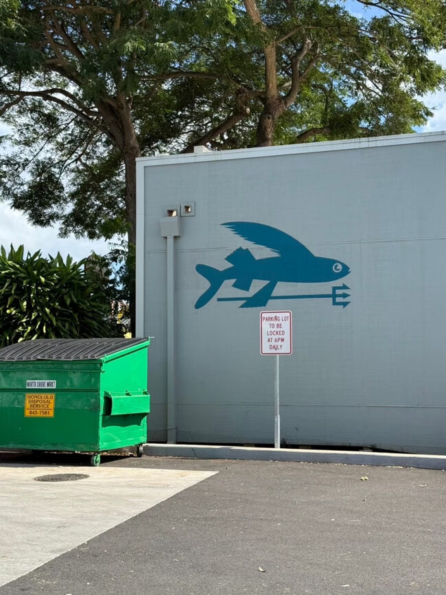 元々あったパタゴニアはサーフショップになってるらしく行きませんでしたが、壁に可愛いPatagoniaの魚が！