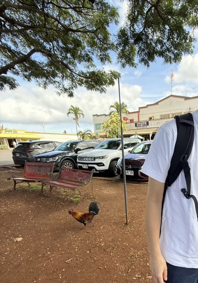 お店の前、ノースショアマーケットプレイスの中央部分位ある大きな木のところに灰皿があり、喫煙スペースとなってます。