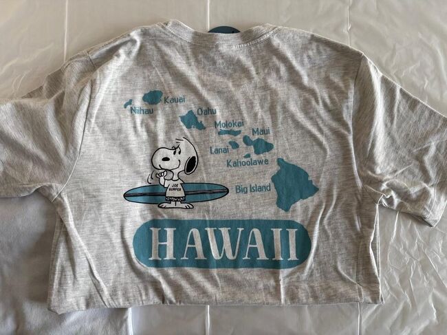 こちらはスヌーピーサーフショップで買ったTシャツ（2枚前の写真の真ん中）の背中側です。<br />左側のTシャツは表面にプリントがあるパターンで背中は何も書いてません。<br /><br />ハワイ（というより海外？）は大きなプリントでどん！というの多いです、ワンポイント好きの私ですが、やっぱり買ってしまう。。