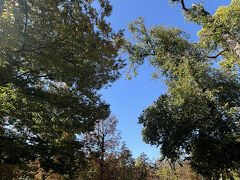 通りがかりの公園に入ってみた。