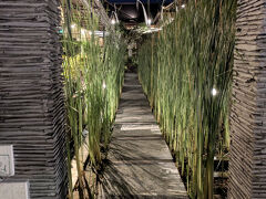 夕日を見た後、大渋滞に巻き込まれながら２時間ほどかけてやっとホテルに戻りました。
バリも絶対オーバーツーリズムです。
