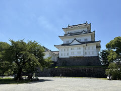 小田原城の天守閣が見える位置まで登ってきました。津波警報の影響で天守閣に入れなかったのが残念ですが、安全第一ですよね！それにしてもきれいなお城です。