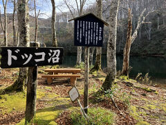 ドッコ沼