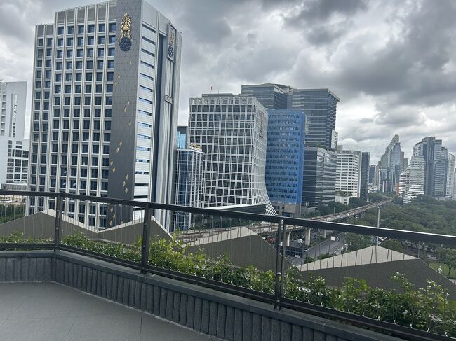 屋上庭園からの眺望