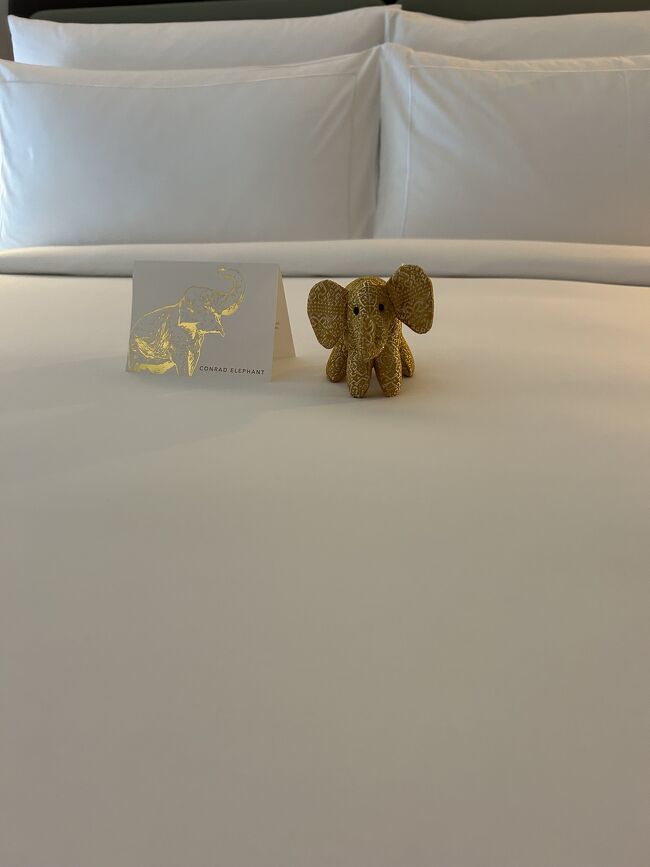 コンラッドエレファント<br />日本に連れ帰って来ました。