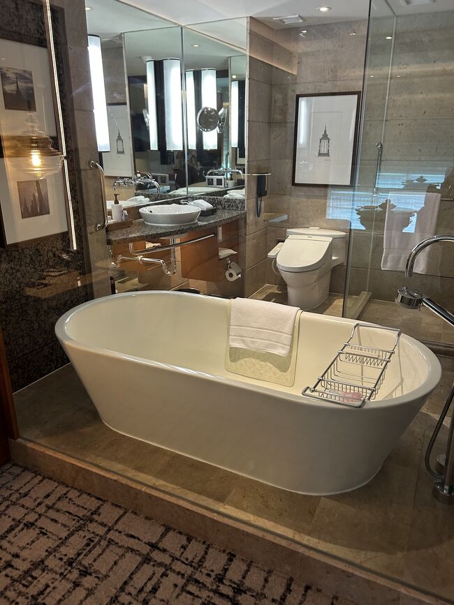 2～3年前にリニューアル済みなので、ウォッシュレットも付いて、オシャレなバスタブもあり、のんびり出来そう。