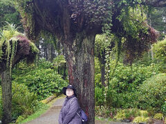 ガイドさんによるとアラスカは1年のうちに晴れるのは30日くらいだということでした。さすがに地元では最強の「晴れ女」や「高気圧ガール」と呼ばれる妻でも晴れさせるのは無理なようでした。次は「メンデンホール氷河」へ向かいます。