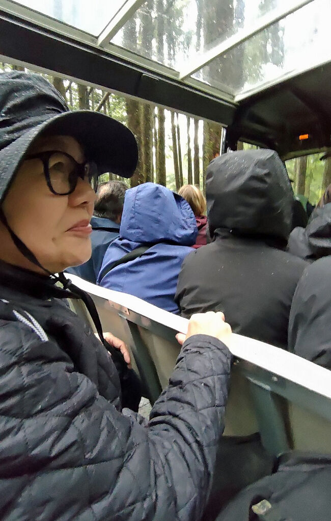 雨の中を窓も無いカートで走るので傾斜する度に雨が吹き込んできます。妻には内側に座ってもらいましたので濡れずに済みました。