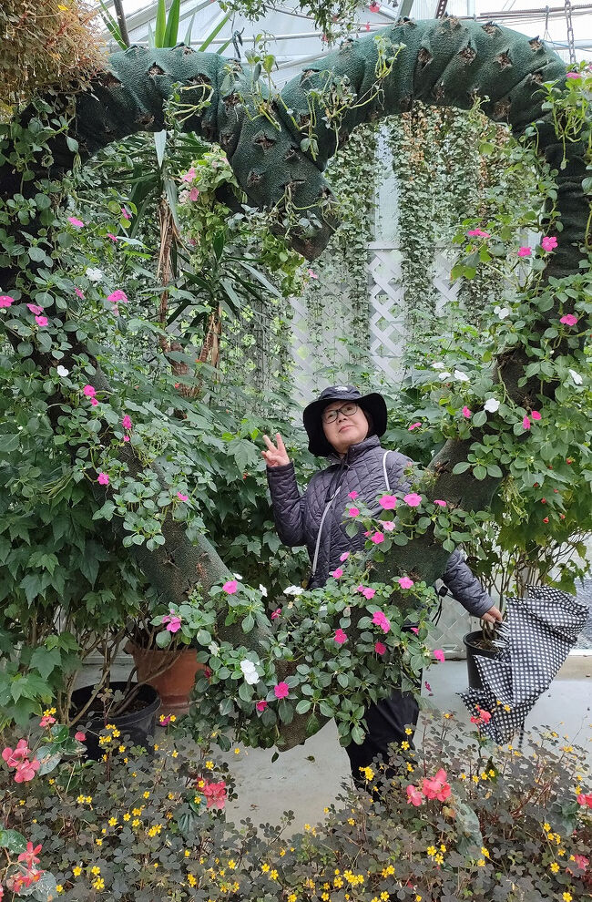 ガラス張りの施設の中にはトイレやショップやカフェもあり、さらに温暖な地の植物がたくさん植えられていました。