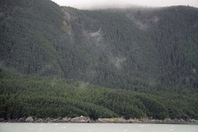 アラスカというと寒い印象が頭に思い浮かびますが、カナダブリティッシュコロンビア州沿岸やアメリカのアラスカ州回廊地帯沿岸はアラスカ海流（Alaska Current）という亜寒帯海流が北米大陸によって南北に二分され、この海流は亜寒帯海流の続流なのでかなり低温ですが、アラスカ湾内では暖流の特徴を示します。
