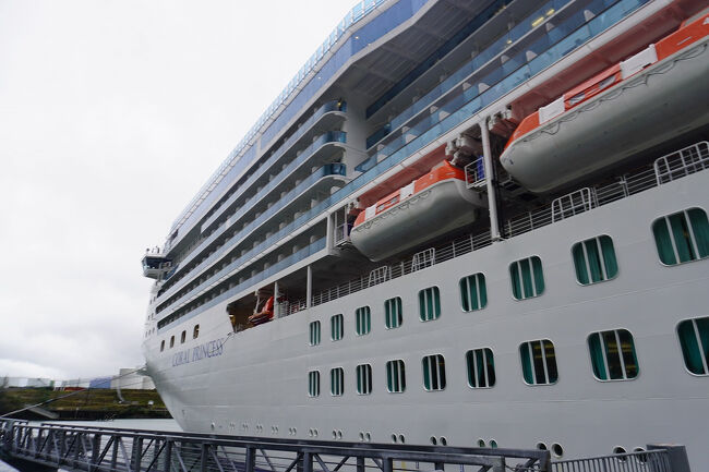 HISのオプショナルツアーにも「メンデンホール氷河」へ行くというものがありましたが、値段が変わらないようであれば「グレッシャーガーデン」にも行けるものを選びます。