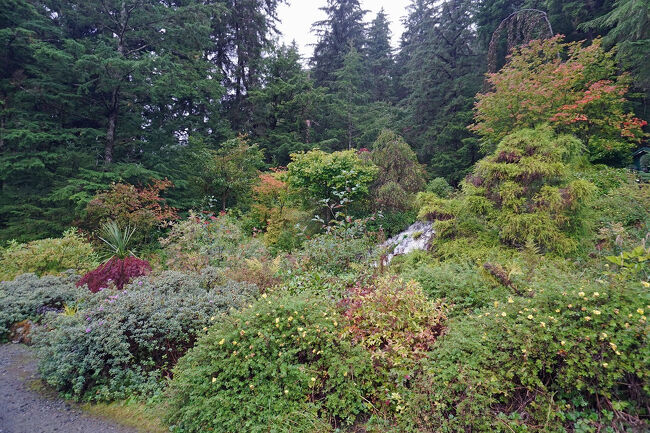 ホームページには屋根付きでバリアフリーなゴルフカートに乗るため、天候に関係なくスムーズでリラックスしたツアーが楽しめるとありました。