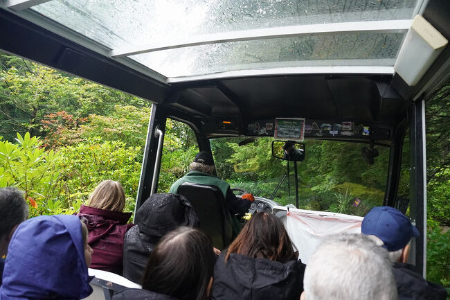 このカートのドライバーさんが説明しながら森の中を走り抜けますが、訛りがひどいのと急な坂道をあがったり下がったりなので、言葉が耳に入ってきません。