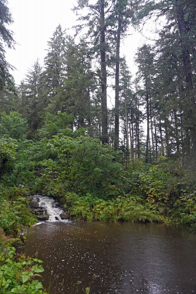 流れる水の色は澄んで美しいのですが、池に溜まった水は黒っぽく見えます。氷河の水だと白くなると思うので、植物や土壌の鉄分の影響ではないかと思いました。