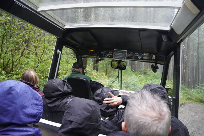 今度は下り坂になりますが、ゴルフ場でもこれほどスピードを出すカートは無いと思います。小さいタイヤは横滑りしながらコーナーを周っていきます。景色よりもそっちの方が気になります。