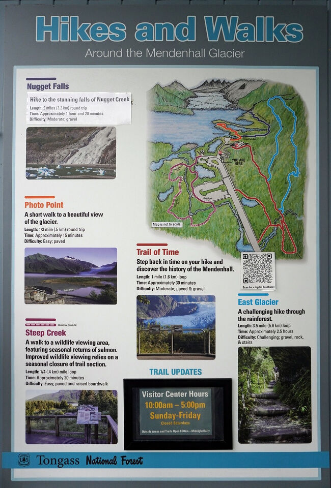 2時間ほどのフリータイムでドライバーさんのおすすめの観光コースは「Photo Point」まで歩いて「メンデンス氷河/Mendenhall Glacier」を眺め、「ナゲット・フォールズ/Nugget Falls」の足元まで往復し、残った時間で「メンデンホール・グレイシャー・ビジター・センター/Mendenhall Glacier Visitor Center」を見学するというものでした。