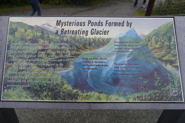 公園内にはいくつもの案内板があり、氷河の成り立ちについての説明があります。氷河湖（glacial lake）とは氷河および氷河作用に関係し形成された湖のことで、氷河の融解により形成されたもの、氷河前面に形成されたもの、氷河の前進時に河川をせき止めることで形成されたものがあります。
