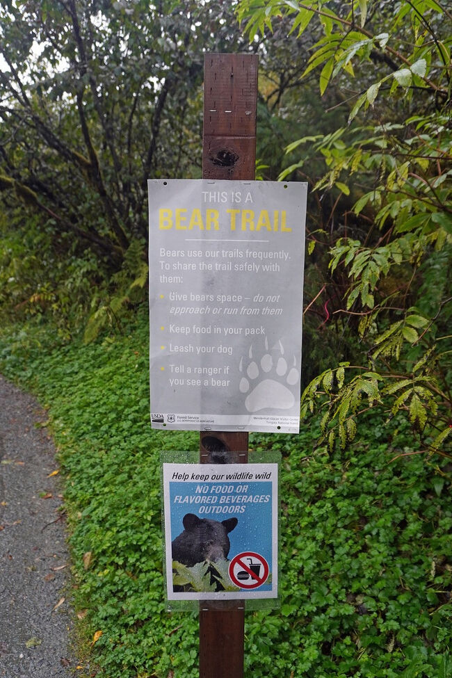 この辺りには熊が出没すると書いてあります。クマとスペースを取って、近づいたり逃げたりしないように。食べ物はリュックに入れておくこと。犬にはリードを着けておくこと。クマを見掛けたらレンジャーに報告すること。