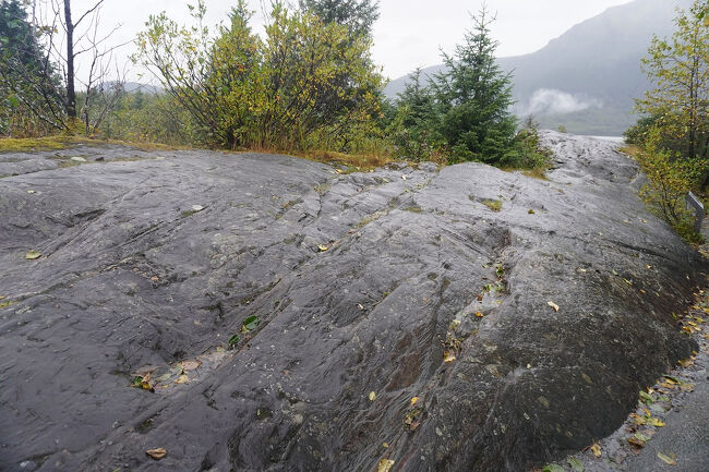看板の横には滑らかになり、条線が残された巨大な岩が残されています。大昔はこの辺りまで氷河があったという証拠になっています。