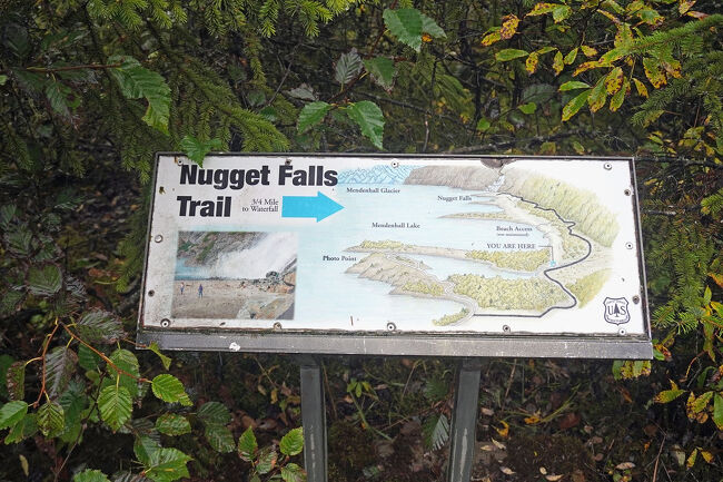 先ほどの分岐点まで戻ってきました。妻は歩きたくないのでここで先に戻ることにします。クマに間違えられなければいいなと思います。