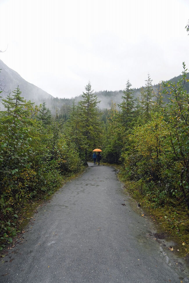 分岐点から先へ歩く人の姿は少ないのですが、先に人が歩いていればクマ除けになるので少しは安心です。