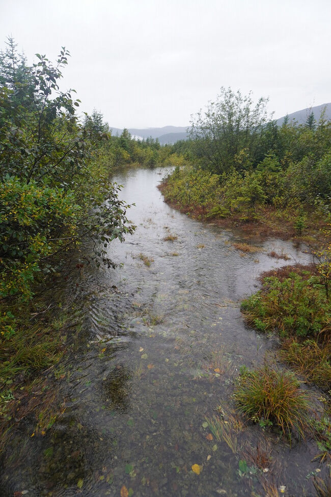 途中には氷河湖へ流れ込む小さな小川が幾筋もありました。
