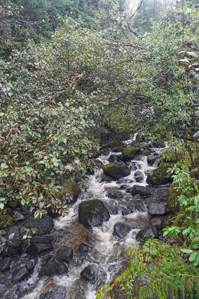 岩場を流れる滝の水の音を聞いているだけで癒されます。