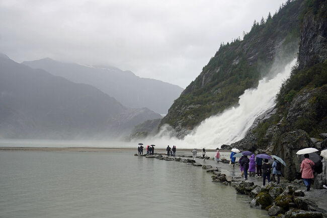 低木の林を抜けると急に視界が広がり、その先に「ナゲット・フォールズ」が見えてきました。