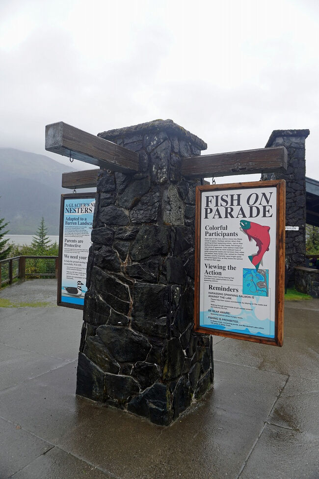 吊られた看板には公園に生息するクマについてのことやサーモンについて紹介されています。