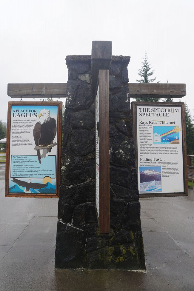 残念ながら今回のクルーズでは1羽の白頭鷲を見ることはありませんでした。また表面に露出した氷河の氷は当初は青く輝いていますが、数日でその青味は消えてしまうと知りました。結晶が割れてしまうと氷河は可視光線スペクトラムを無差別に散乱させることにより白く見えるようになります。