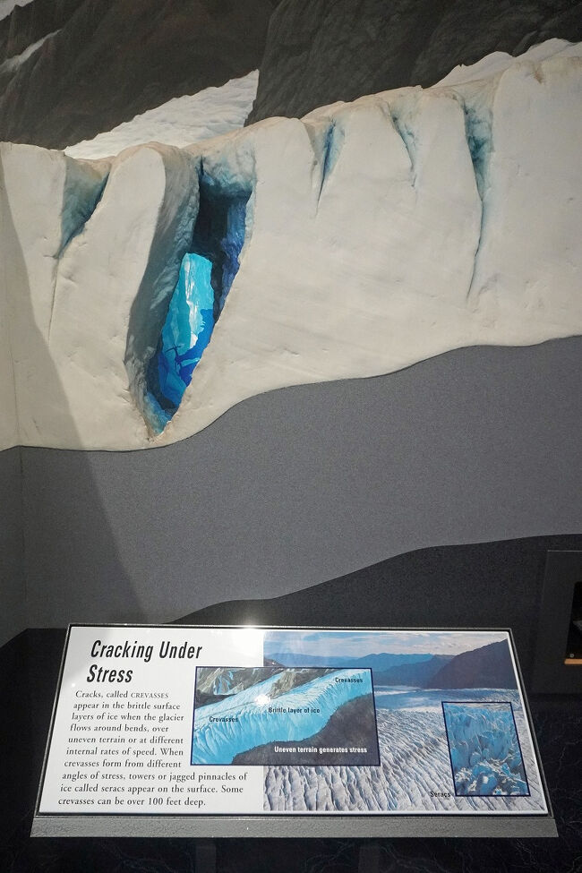 クレパスに出来たトンネルをガイドと共に尋ねる氷の洞窟ツアーは通常7月から9月まで催行されているようですが、クルーズでの1日滞在では行くことは出来なさそうです。