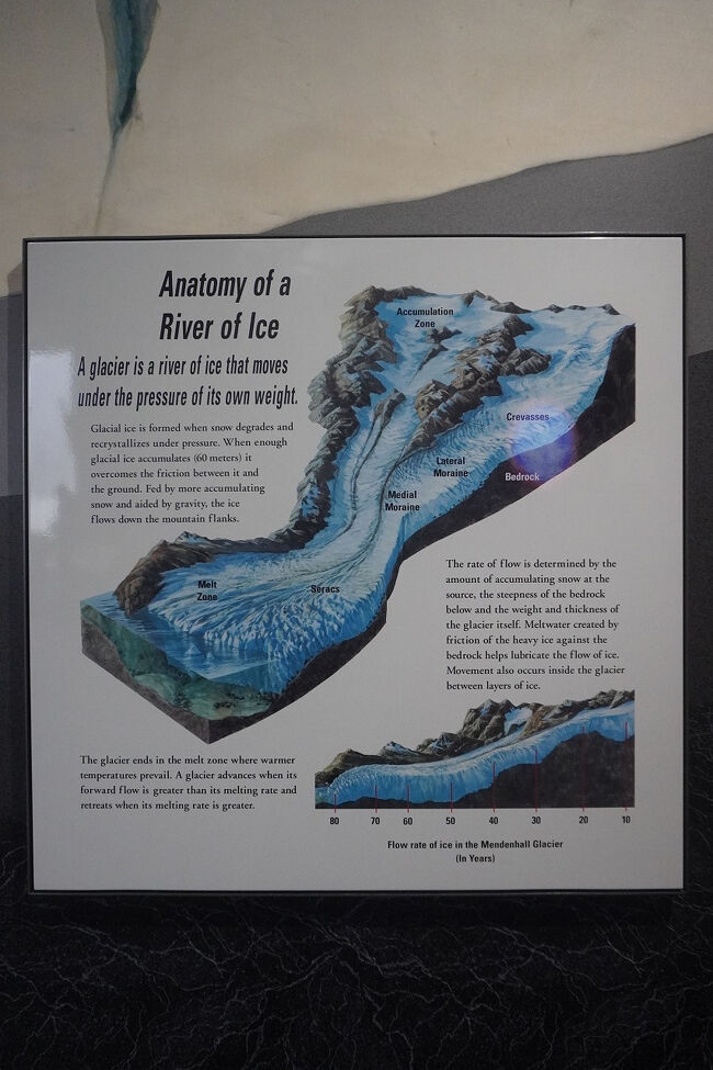 氷河は自らの自重により斜面を移動しているということが説明されています。