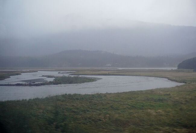 空港の周辺は湿地が広がっていました。目を凝らしても野生動物の姿は見えませんでした。