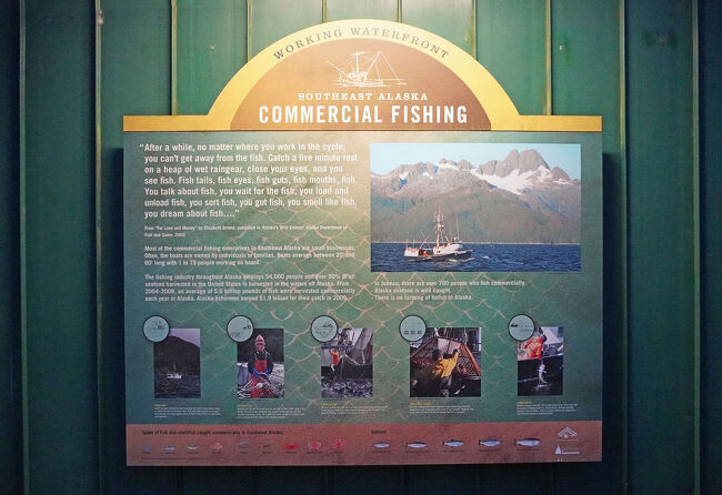 アラスカ南東部の商業漁業はほとんどが家族的な小規模企業で、船の平均的な大きさは20メートルほどです。漁業に従事する人の人数は700人ほどで、アラスカでは養殖は行われず、その全てが天然の魚になります。