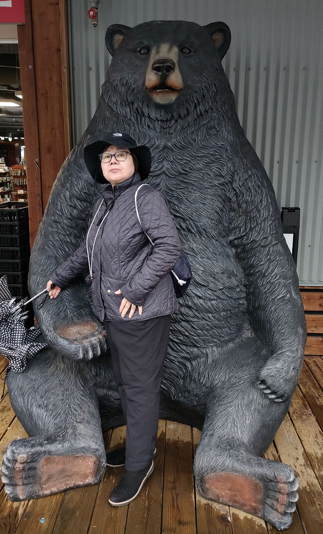 バスは「プリンセス・クルーズ・ドック/Princess Cruise Dock」で我々を降ろして、ツアーは終わりました。その後は再び通りを戻りながらお土産店を覗いていきます。