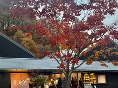 ３０～４０分休憩してお出かけしたのは、星野温泉。
温泉が目的ではなく、この近くで