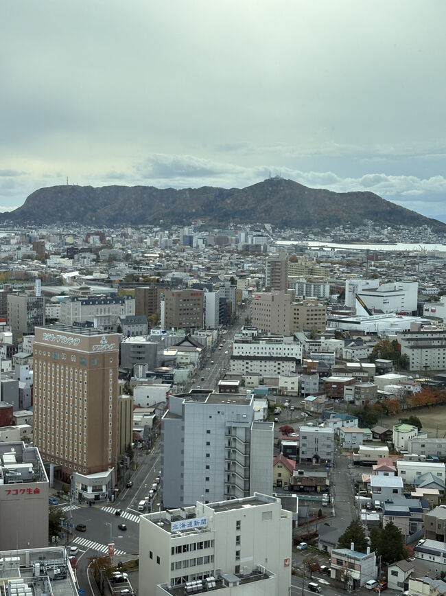 向こうに見えるのは函館山