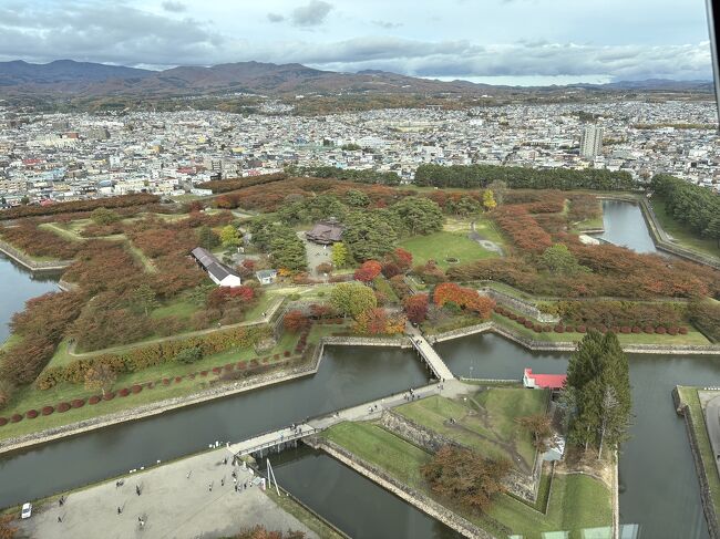 １フロア下がってみると空いていて写真が撮りやすかったです<br />