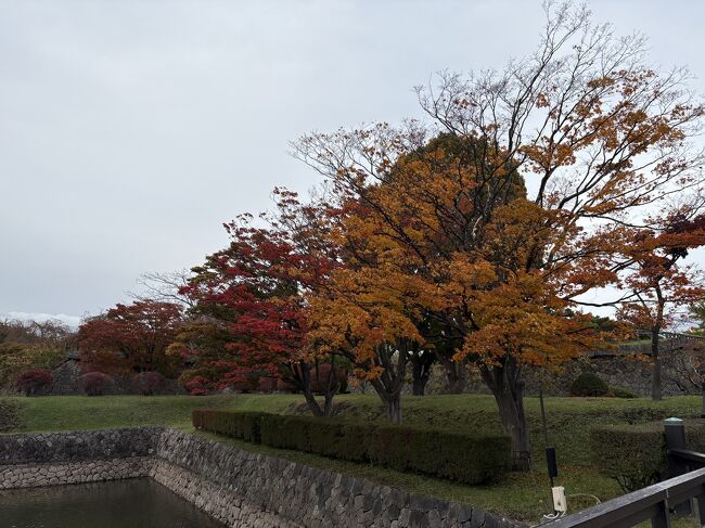 紅葉が始まっていました<br />