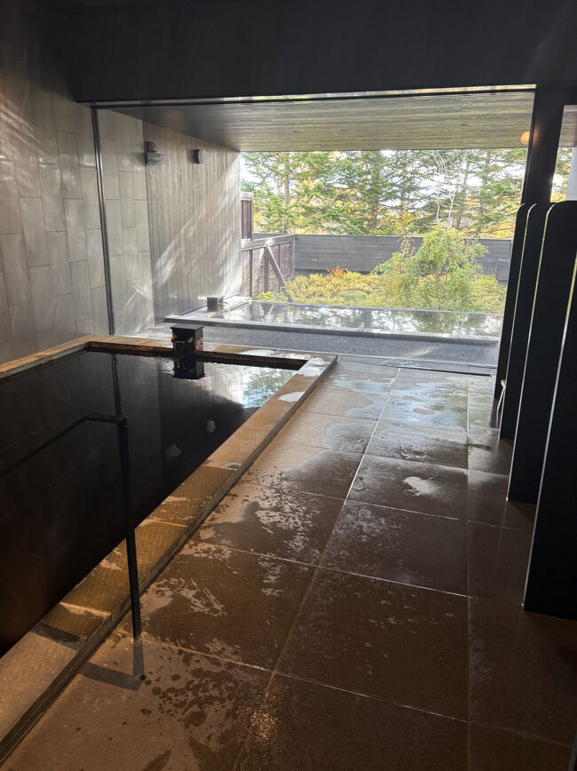 時間があったので大浴場へ。<br />ちょうど誰もいなかったので写真を。<br />こじんまりした造りなので、スキーシーズンは混みそうね。