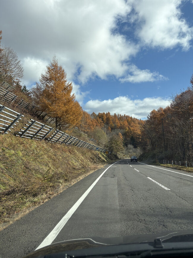 道すがら、紅葉がちらほら見えました