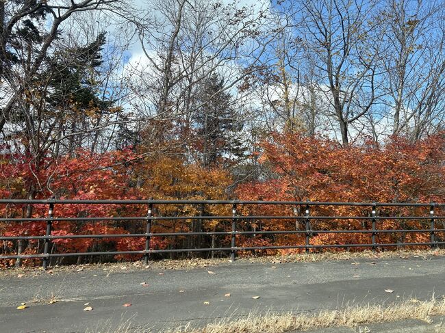 支笏湖付近は木々の色が濃くてキレイ<br />札幌によってご飯でも食べようかと思ったけど時間が無いので空港へ。<br />