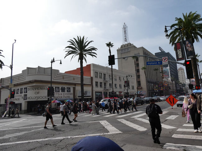 テレビなどで見ていたハリウッドの景色そのままでした。<br />