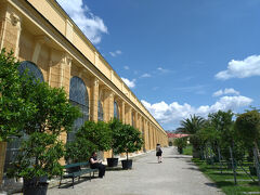 18世紀から使われている温室。

説明：シェーンブルン宮殿のオランジェリーは、1754年頃にニコラウス・パカッシによって建設されました。全長189メートル、幅10メートルという規模は、ヴェルサイユに次ぐヨーロッパ最大級のバロック様式の温室です。温室の西側部分は現在も、熱帯植物の越冬施設として機能しています。夏になると、天候が許す限り、これらの植物はシェーンブルン宮殿公園に移されます。