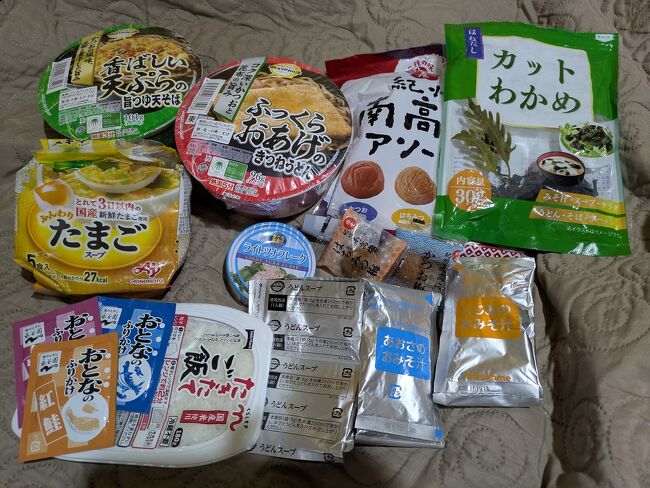 ちなみに、さんたろう（夫）は、旅行に行くことは怒らない。私のお母さん的存在。<br /><br />私の仕事はパートタイマー。<br />仕事に強いコンプレックスがあり。。。<br />ならそのメリットを最大限に生かそう！<br /><br /><br />そして、こんな「お母さん」を理解してくれている家族に感謝しかない。<br /><br /><br />物価対策とグルタミン酸補給の品の日本食<br />半分以上は余る。。。<br />味噌汁が3個ぐらいと梅干しを3つぐらいでよかった。<br /><br />ただ、カップうどんはすごく役立った！<br />寒かった時、身にしみて美味しかった！<br /><br />日本人には麺が必要！