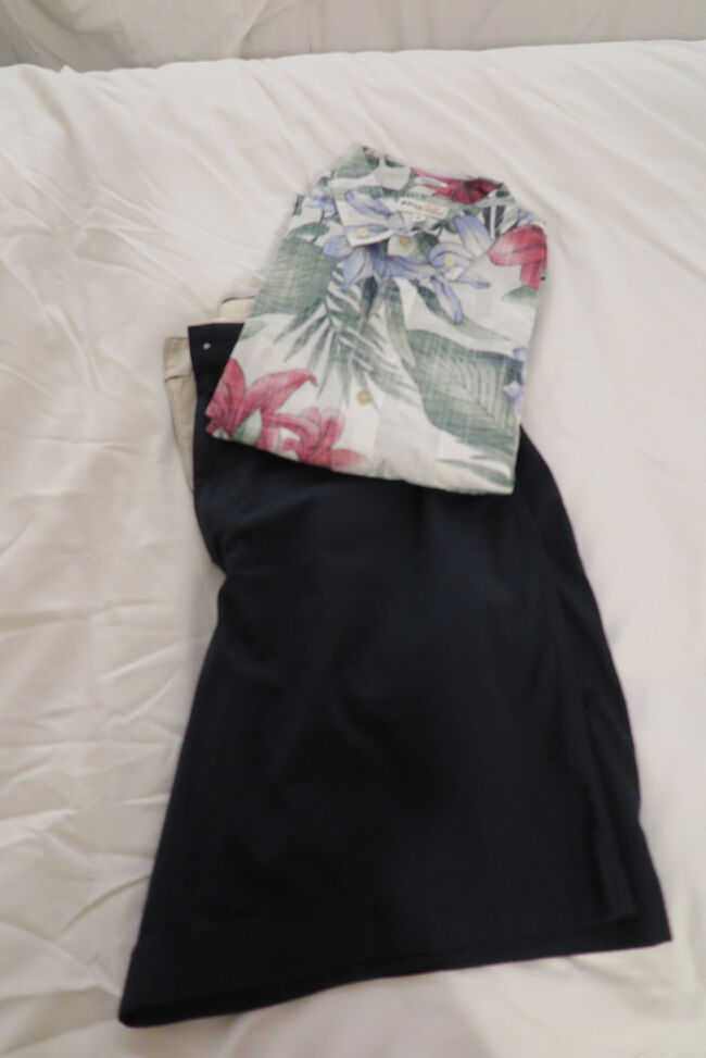 午前中はホテル周辺を散策<br /><br />ショートパンツにアロハシャツ<br />そしてパナマ帽を初おろし